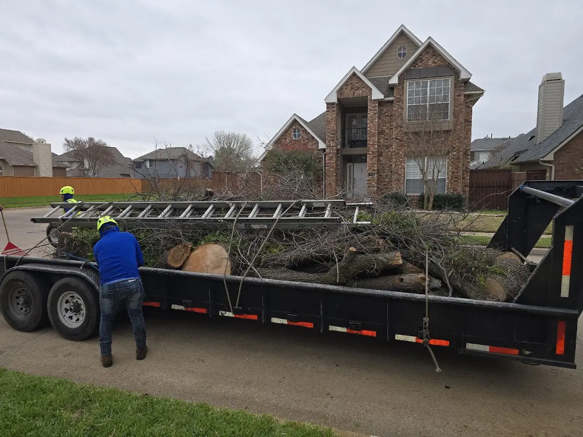 Expert Tree Fertilization with proper safety equipment in Ely